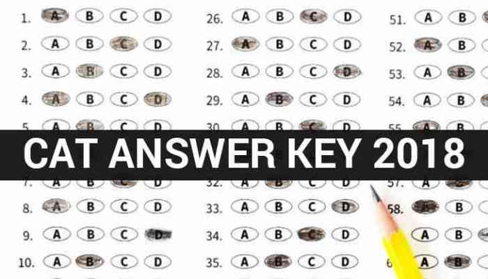 Academic excellence cat test answers