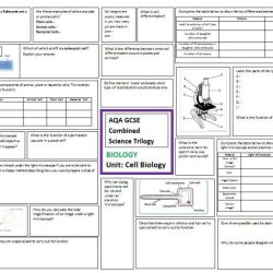 Cell biology science olympiad cheat sheet