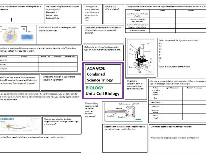 Cell biology science olympiad cheat sheet