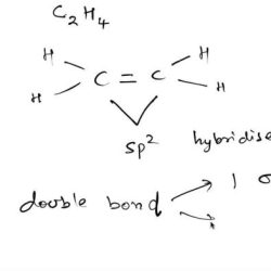 Which of the following statements about alkenes is true