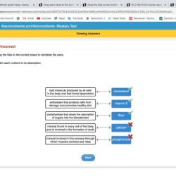 Please match each protein to the correct function.