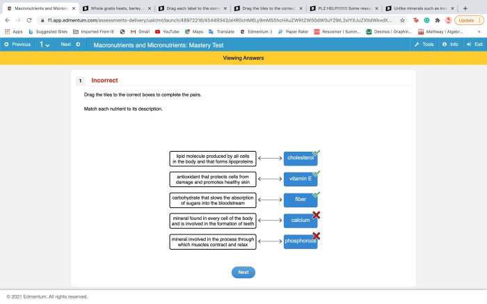 Please match each protein to the correct function.